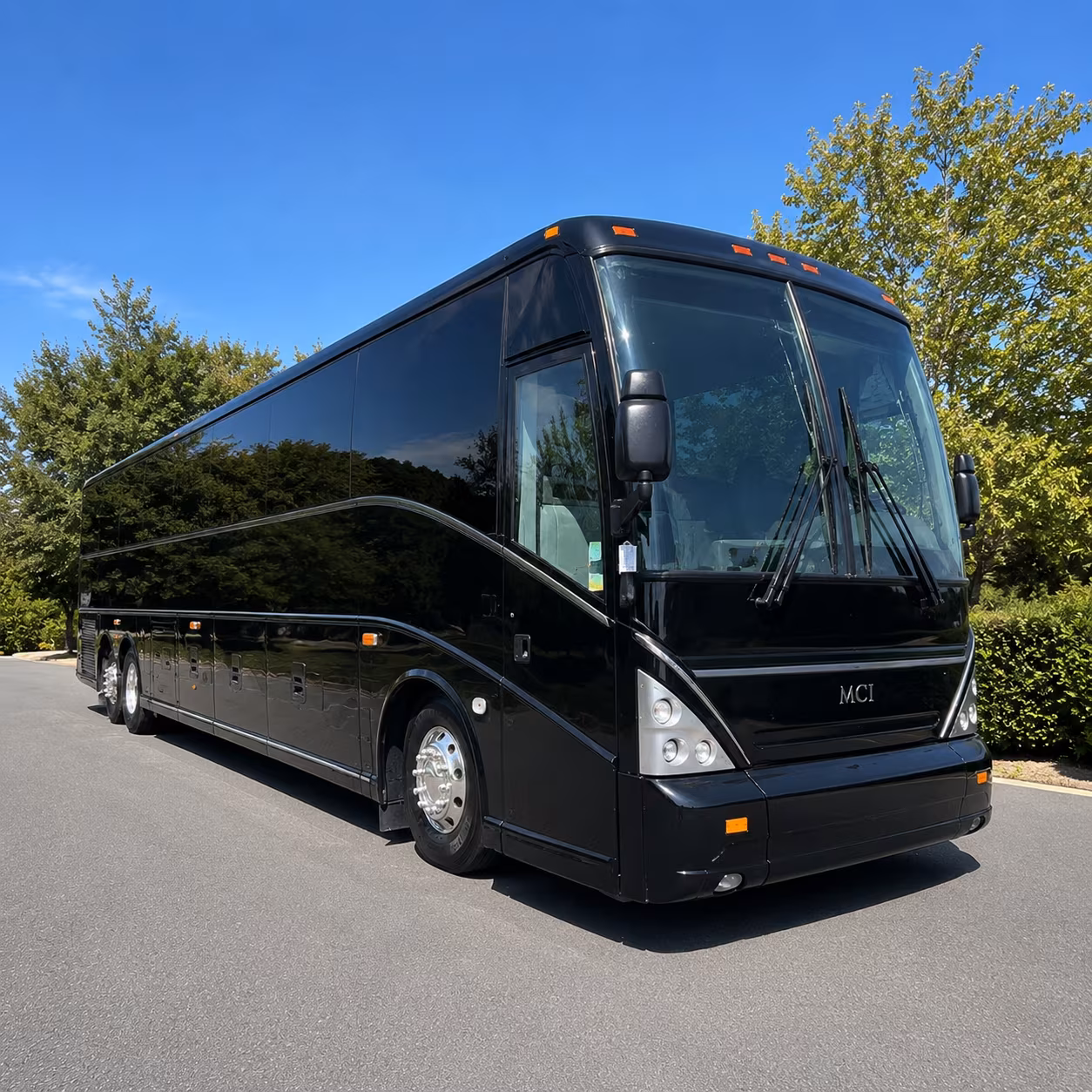 buses to lake elsinore storm games and local sporting events